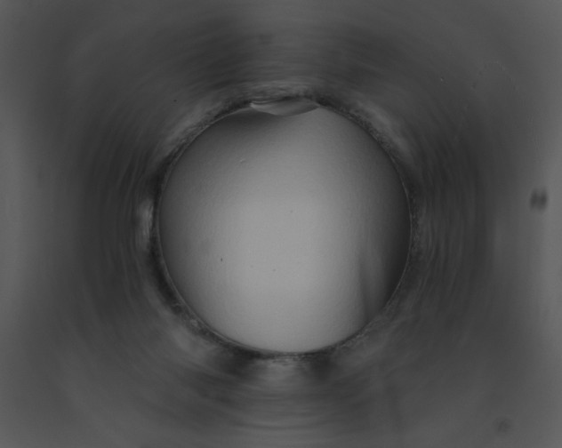 X0000091360118200708311513