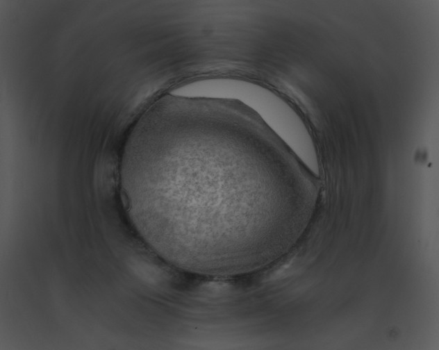 X0000091360119200708311513