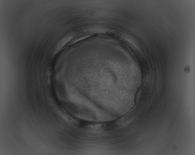 X0000091360120200708311513