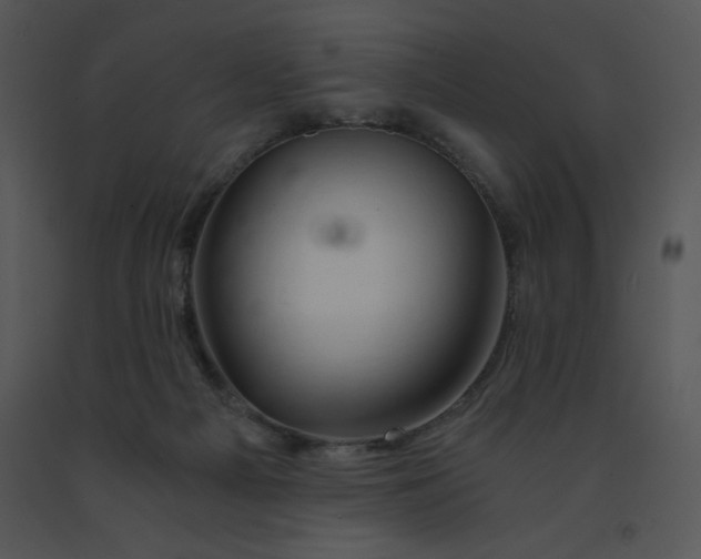 X0000091360121200708311513