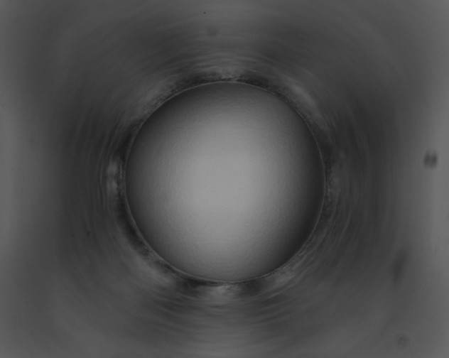 X0000091360122200708311513