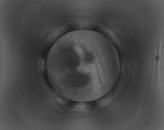 X0000091360123200708311513