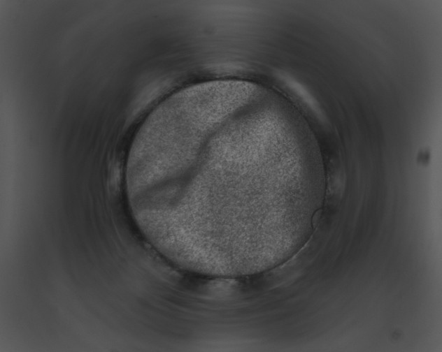 X0000091360124200708311513