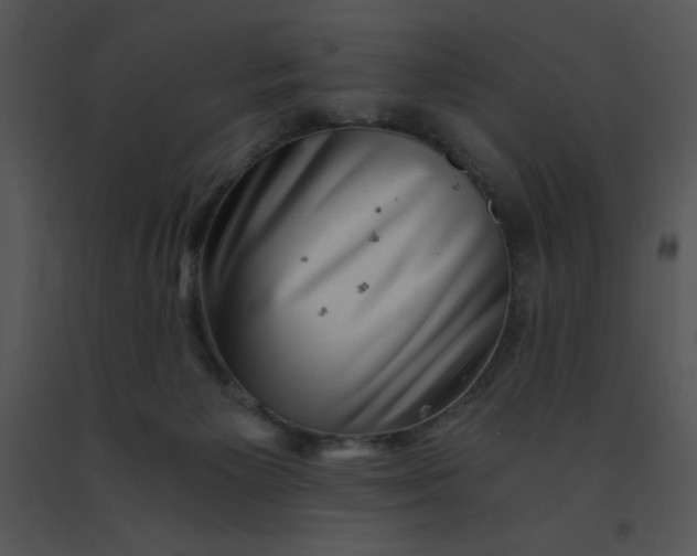 X0000091360125200708311513