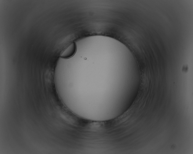X0000091360126200708311513