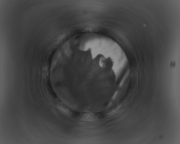 X0000091360127200708311513