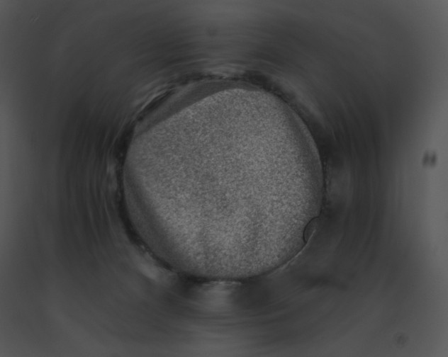 X0000091360128200708311513