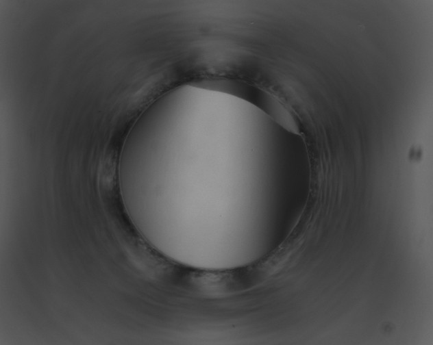 X0000091360129200708311512