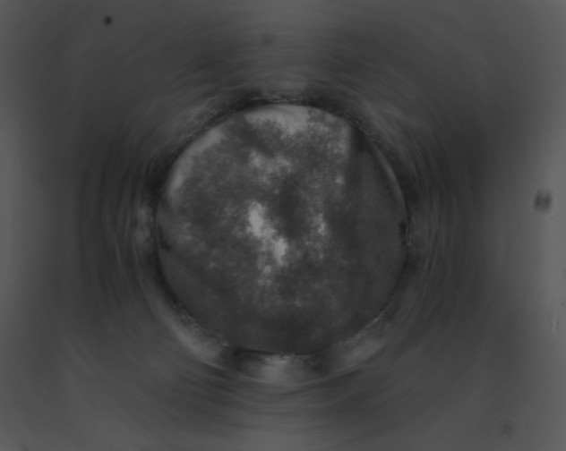 X0000091360130200708311512