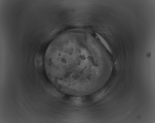 X0000091360131200708311512