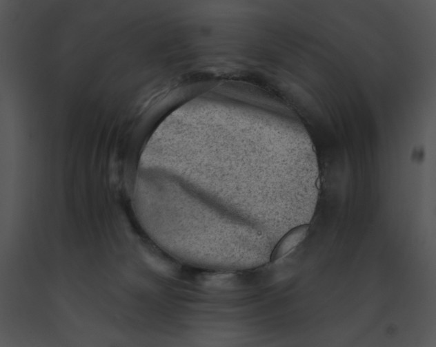 X0000091360132200708311512
