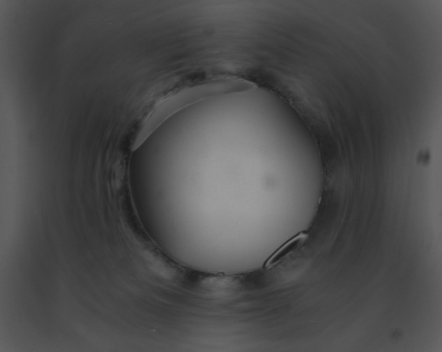 X0000091360133200708311512