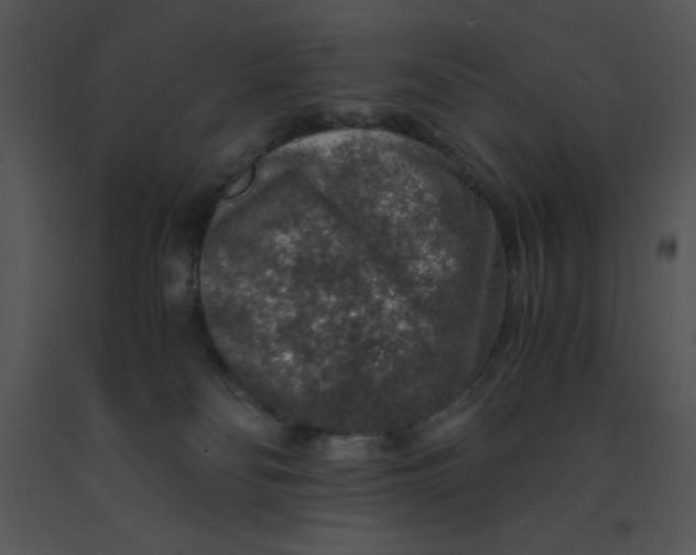 X0000091360134200708311512