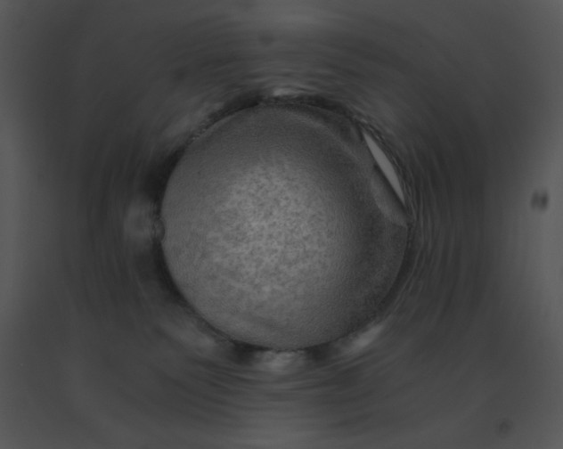 X0000091360135200708311512