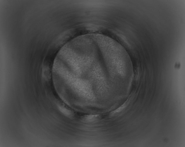 X0000091360136200708311512