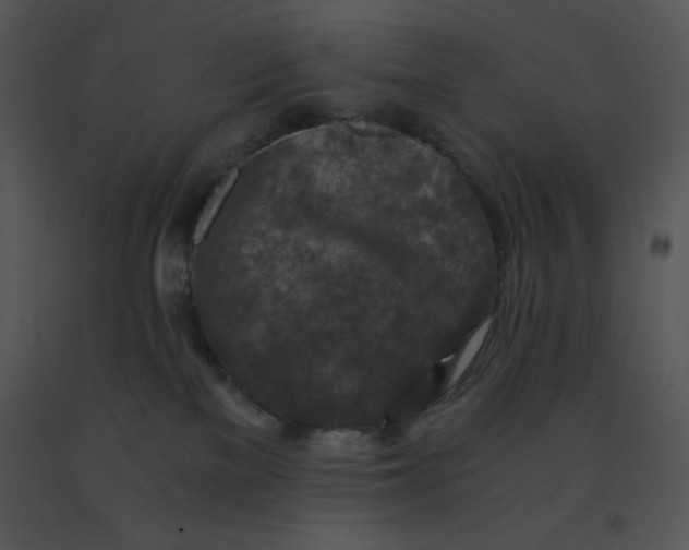 X0000091360137200708311512