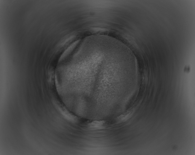 X0000091360138200708311512