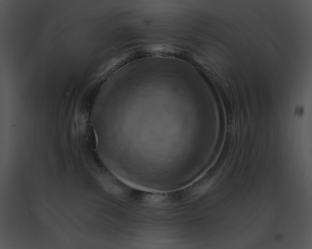 X0000091360139200708311512