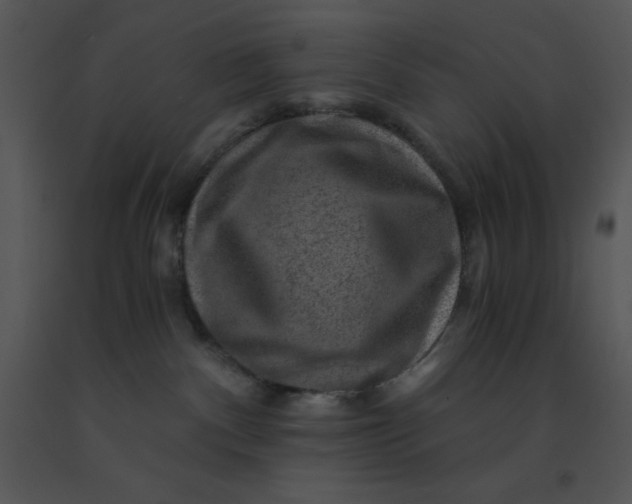 X0000091360140200708311512
