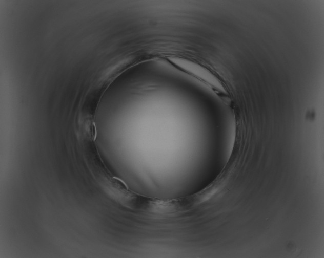 X0000091360141200708311512