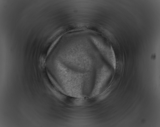 X0000091360142200708311512