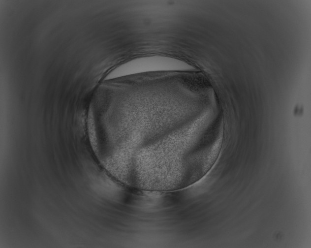 X0000091360144200708311512
