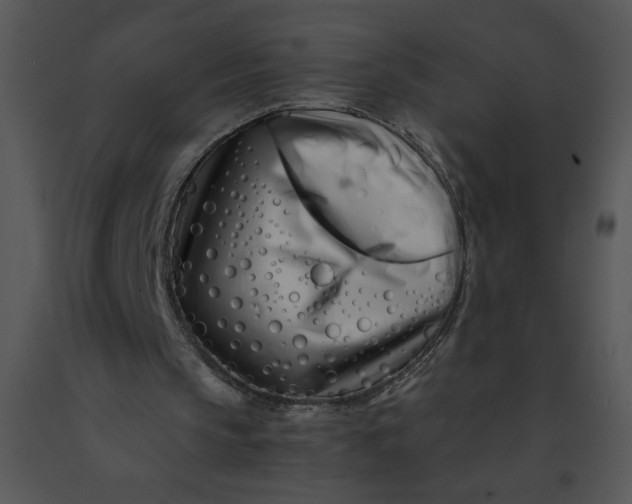 X0000091360145200708311512