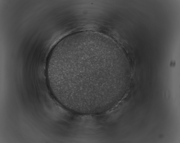 X0000091360146200708311512