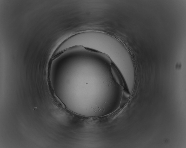 X0000091360148200708311512