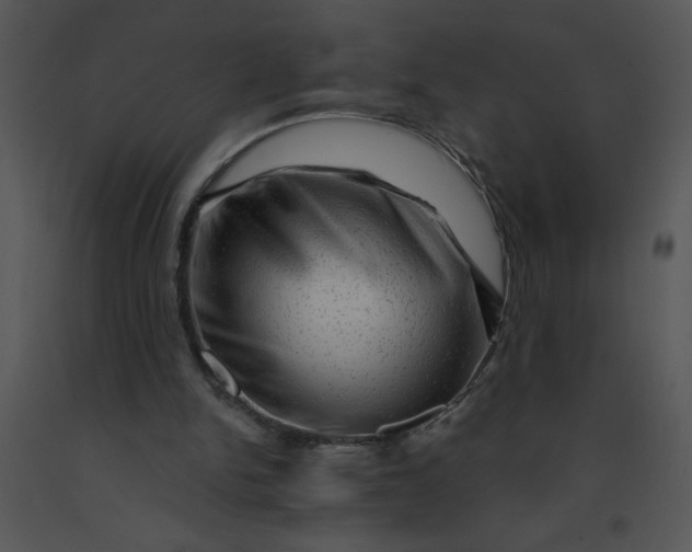 X0000091360150200708311512