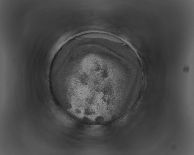 X0000091360151200708311512