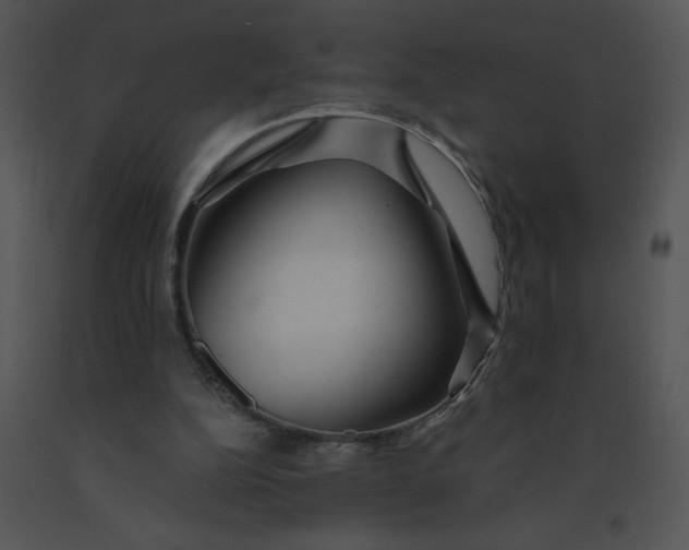 X0000091360152200708311512
