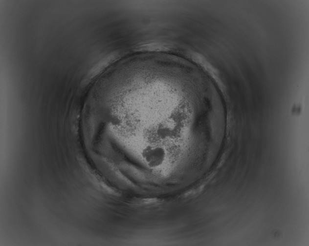 X0000091360153200708311512