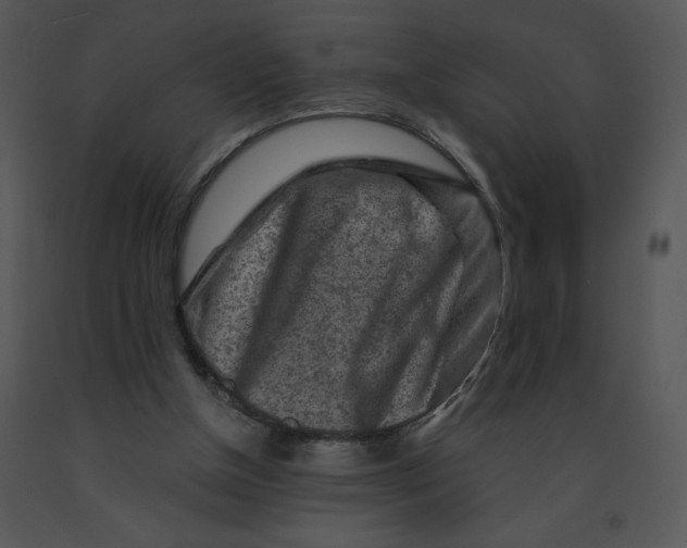 X0000091360154200708311512