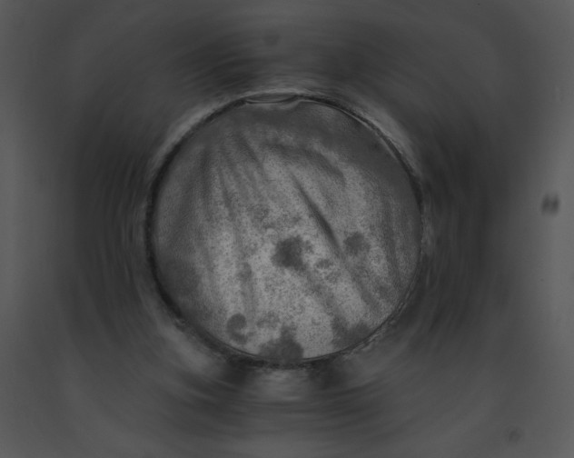 X0000091360155200708311512