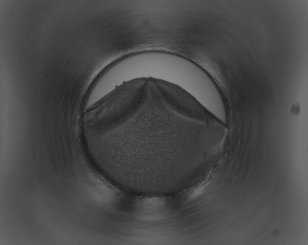 X0000091360156200708311512