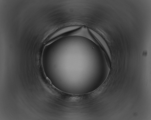 X0000091360158200708311512