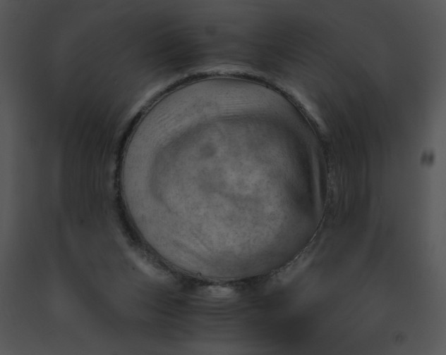 X0000091360159200708311512