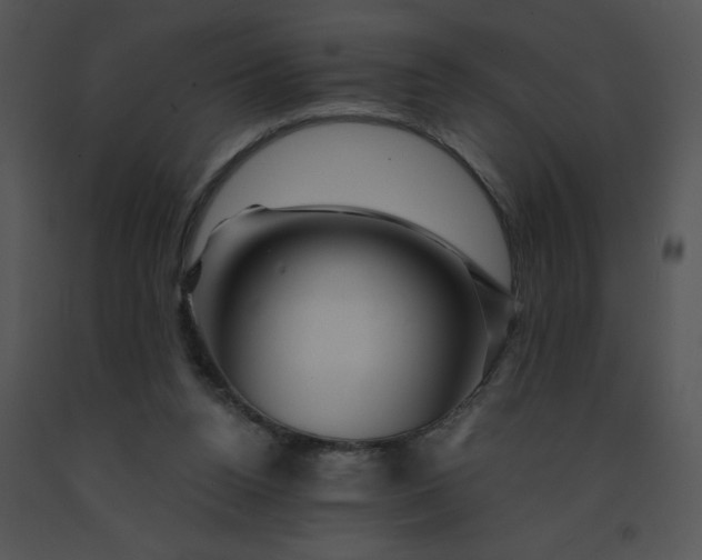 X0000091360160200708311512