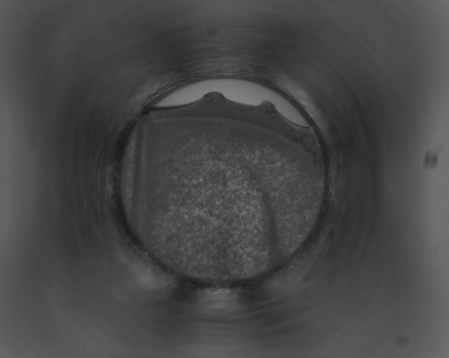 X0000091360161200708311512