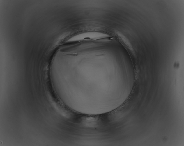 X0000091360163200708311512