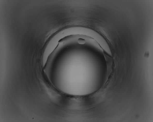 X0000091360164200708311512