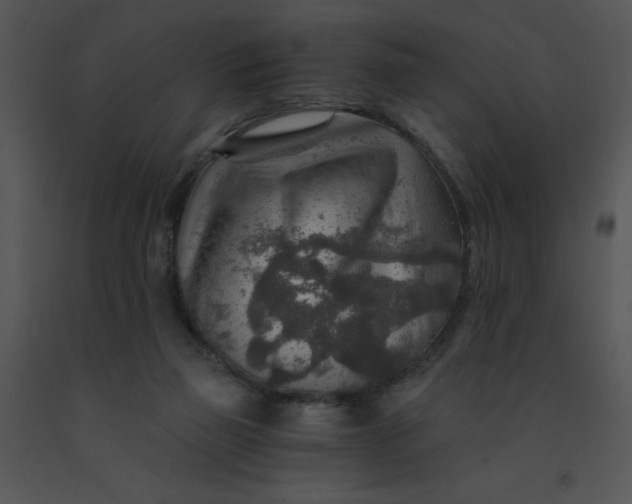 X0000091360165200708311512