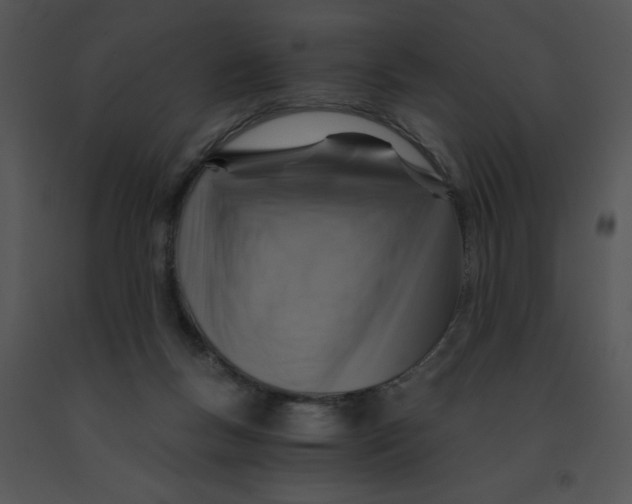 X0000091360167200708311512