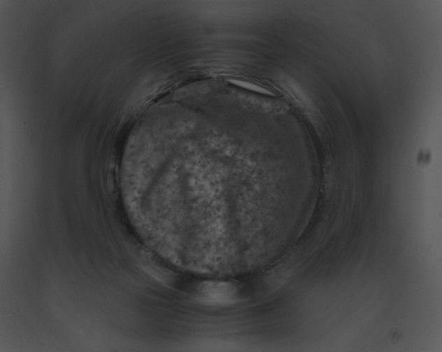 X0000091360169200708311512