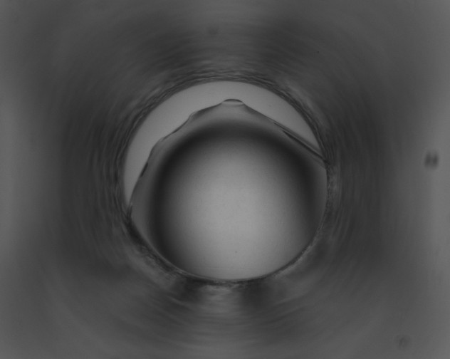 X0000091360170200708311512