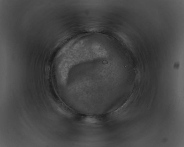 X0000091360171200708311512