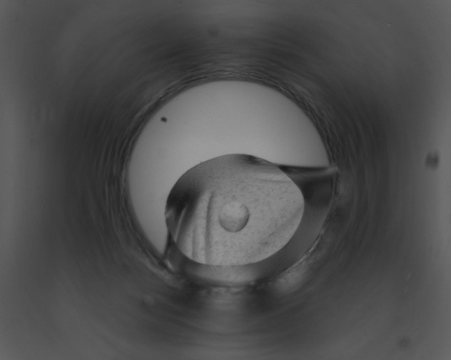 X0000091360172200708311512
