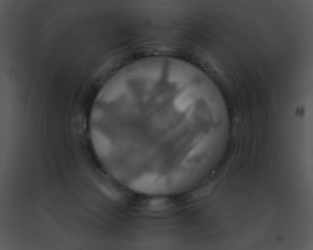 X0000091360173200708311512
