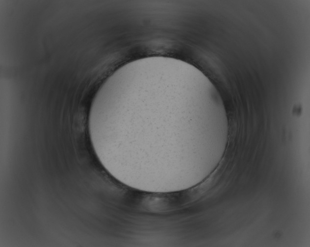 X0000091360174200708311512